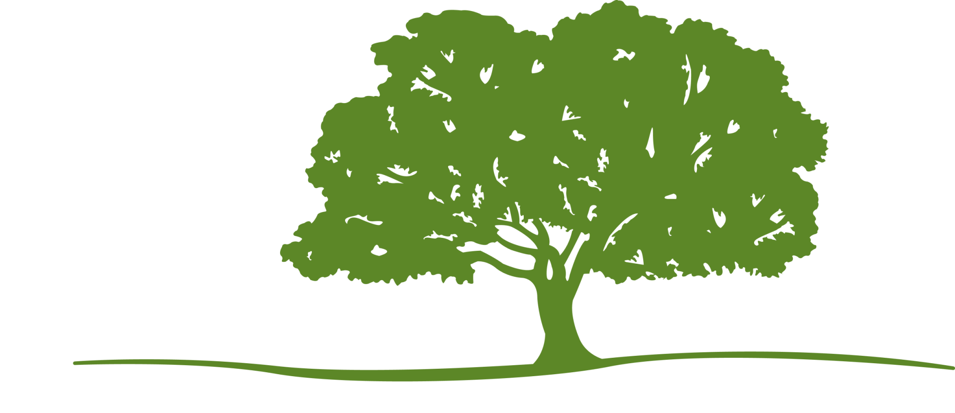 The Lumpkin Family Foundation