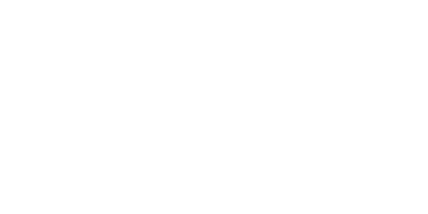 Southeastern Illinois Foundation