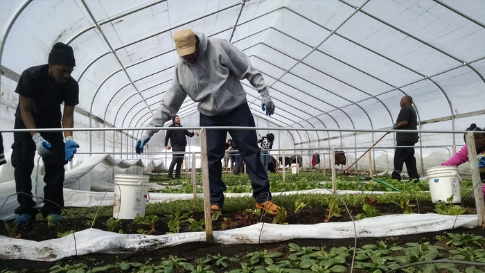 LFF Announces 2025 Wellness Grant Recipients