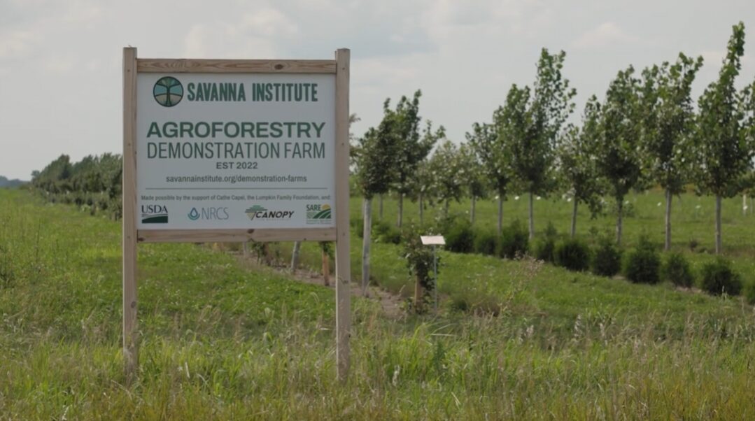 Grantee Update: Savanna Institute